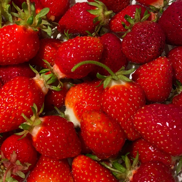 Meet your Posher, RidleyMo - Picture 1 of 1